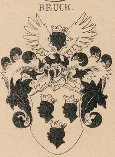 Bruck Coat of Arms / Family Crest 0