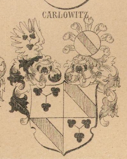 Carlowitz Coat of Arms / Family Crest 0