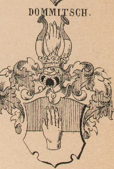 Dommitch Coat of Arms / Family Crest 0