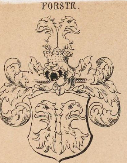 Forste Coat of Arms / Family Crest 0