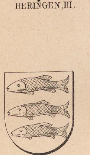 Heringen Coat of Arms / Family Crest 2