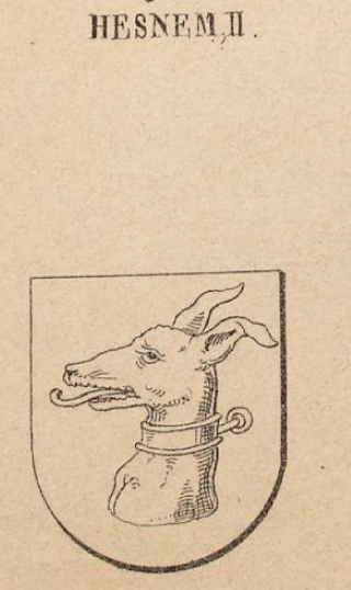 Hesnem Coat of Arms / Family Crest 0