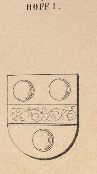 Hofe Coat of Arms / Family Crest 0
