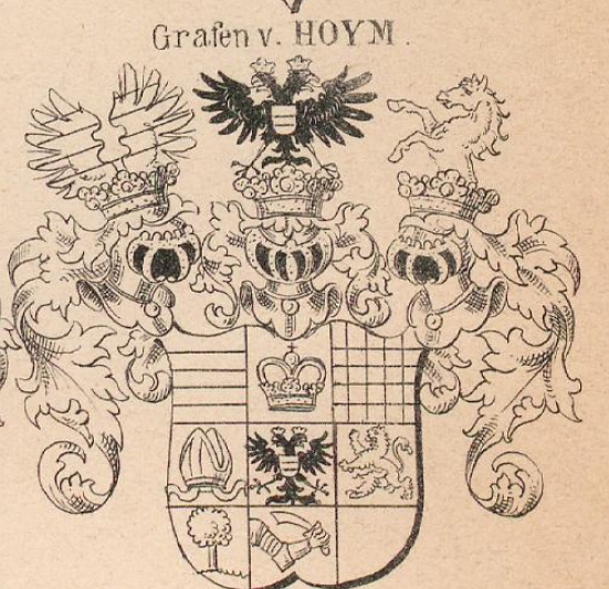 Hoym Coat of Arms / Family Crest 6