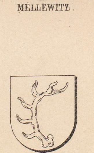Mellewitz Coat of Arms / Family Crest 1
