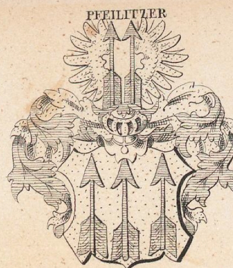 Pfeilitzer Coat of Arms / Family Crest 0
