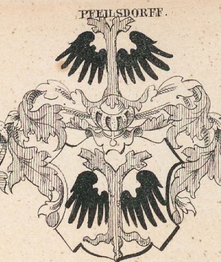 Pfeilsdorff Coat of Arms / Family Crest 0