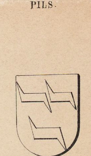 Pils Coat of Arms / Family Crest 0