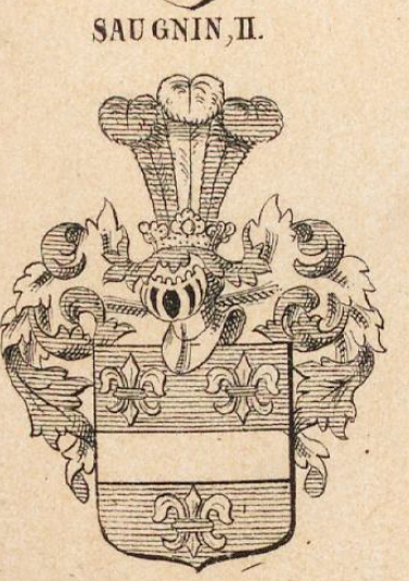 Saugnin Coat of Arms / Family Crest 1