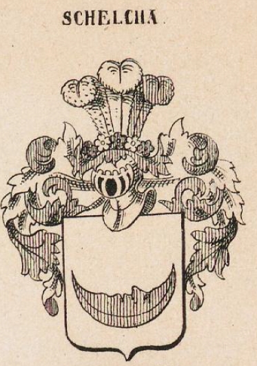 Schlecha Coat of Arms / Family Crest 0