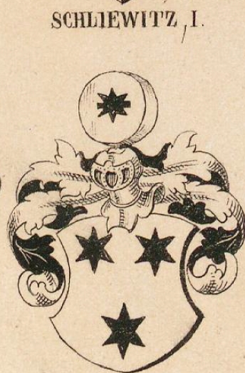 Schliewitz Coat of Arms / Family Crest 0