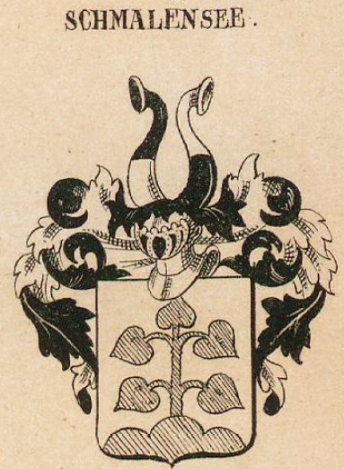 Schmalensee Coat of Arms / Family Crest 0