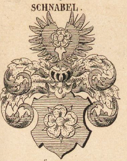 Schnabel Coat of Arms / Family Crest 3