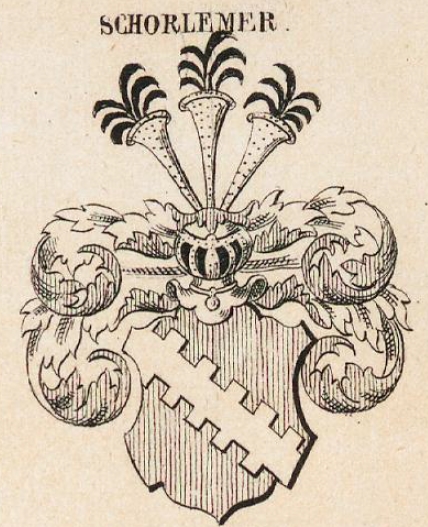 Schorlemer Coat of Arms / Family Crest 0
