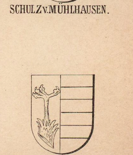 Schulz Coat of Arms / Family Crest 0