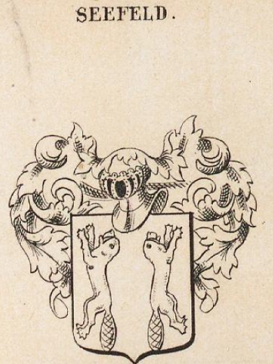 Seefeldt Coat of Arms / Family Crest 0