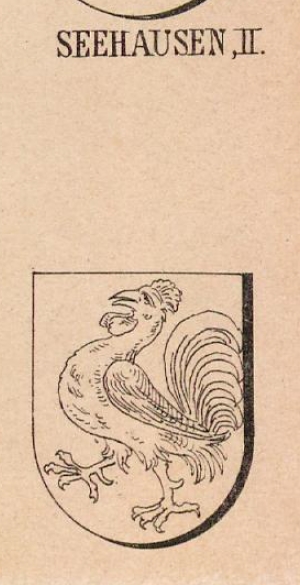 Seehausen Coat of Arms / Family Crest 1