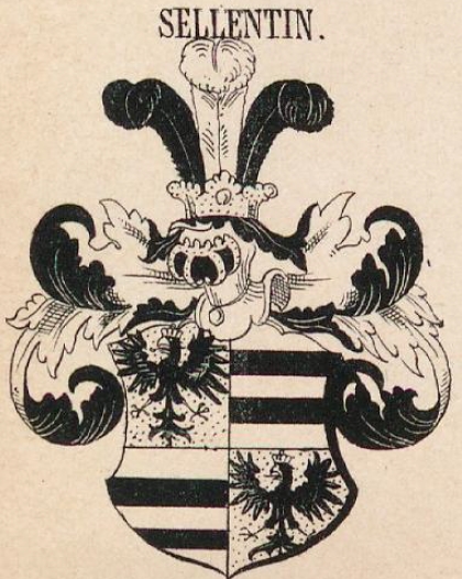 Sellentin Coat of Arms / Family Crest 0