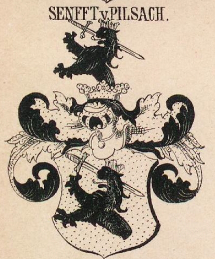 Senfft Coat of Arms / Family Crest 0