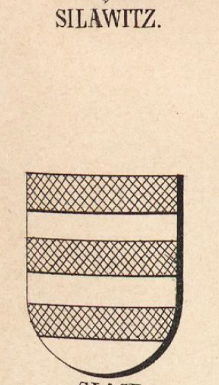 Silawitz Coat of Arms / Family Crest 0