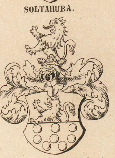 Soltahuba Coat of Arms / Family Crest 0