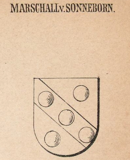 Sonneborn Coat of Arms / Family Crest 0