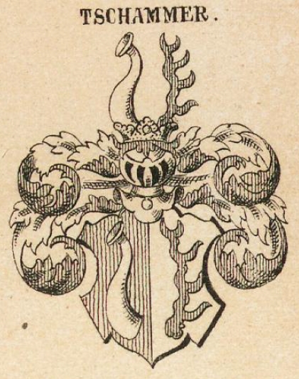 Tschammer Coat of Arms / Family Crest 0