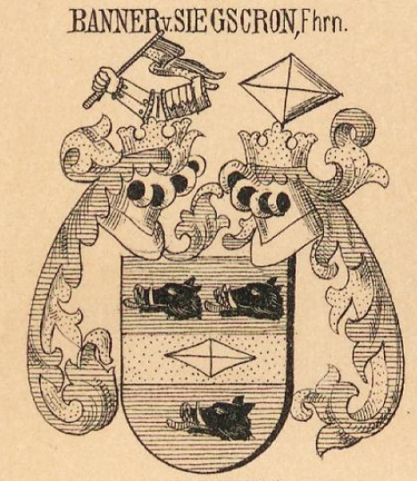 Banner Coat of Arms / Family Crest 0