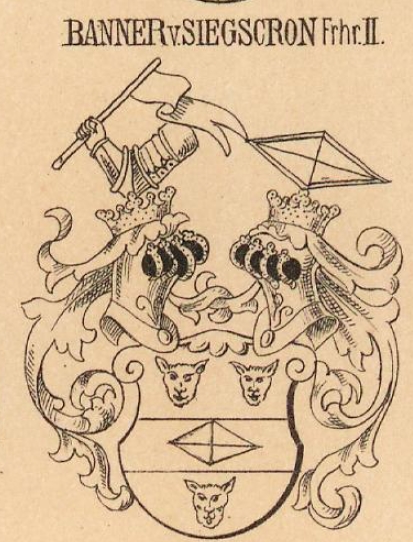 Banner Coat of Arms / Family Crest 1