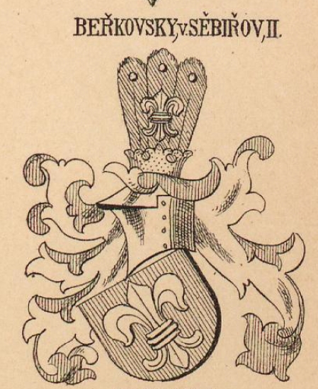 Berkovsky Coat of Arms / Family Crest 1