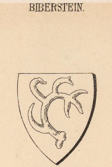 Biberstein Coat of Arms / Family Crest 0