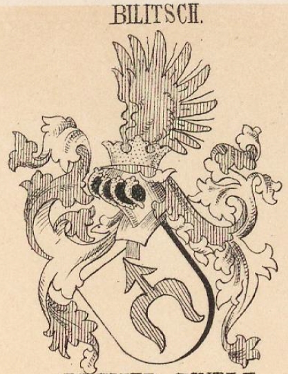 Bilitsch Coat of Arms / Family Crest 0