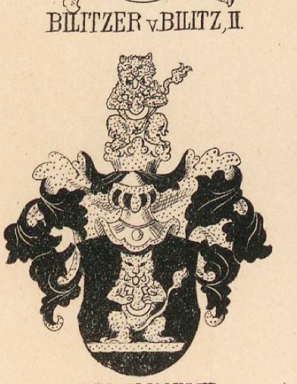 Bilitzer Coat of Arms / Family Crest 1