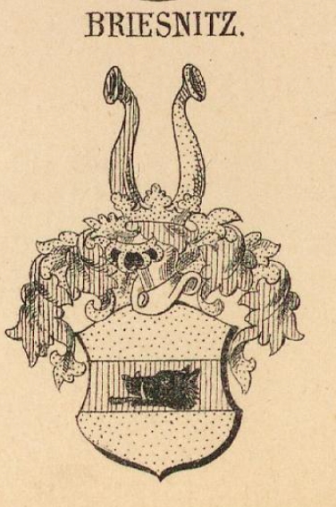 Briesnitz Coat of Arms / Family Crest 0