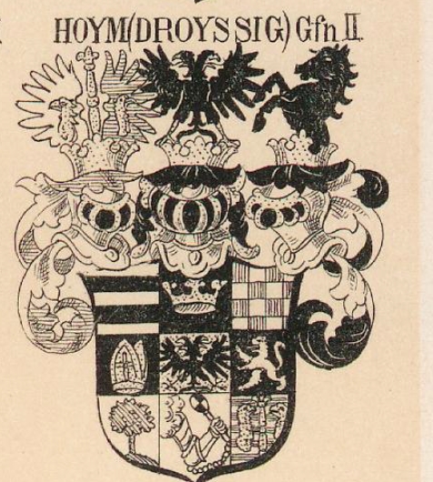 Hoym Coat of Arms / Family Crest 8