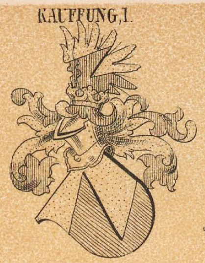 Kauffung Coat of Arms / Family Crest 0