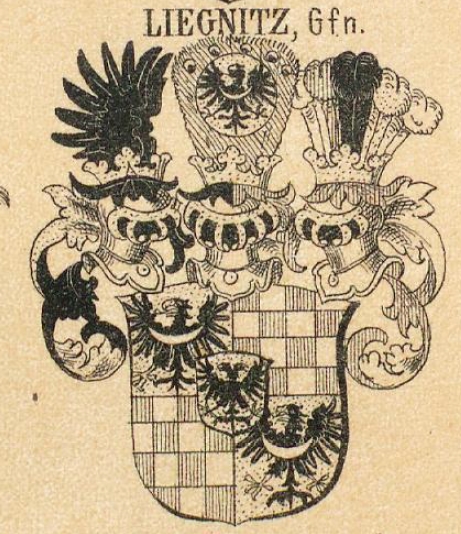 Liegnitz Coat of Arms / Family Crest 0