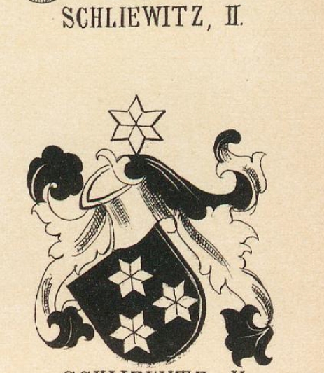 Schliewitz Coat of Arms / Family Crest 3