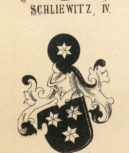 Schliewitz Coat of Arms / Family Crest 5