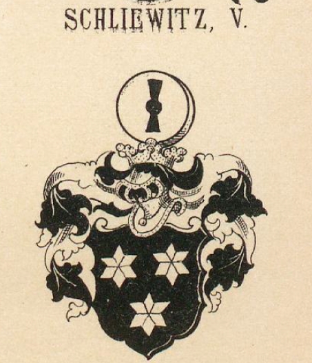 Schliewitz Coat of Arms / Family Crest 6