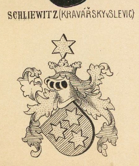 Schliewitz Coat of Arms / Family Crest 8