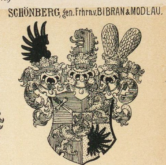 Schonberg Coat of Arms / Family Crest 7