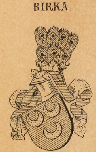 Birka Coat of Arms / Family Crest 0