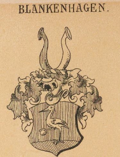 Blankenhagen Coat of Arms / Family Crest 0