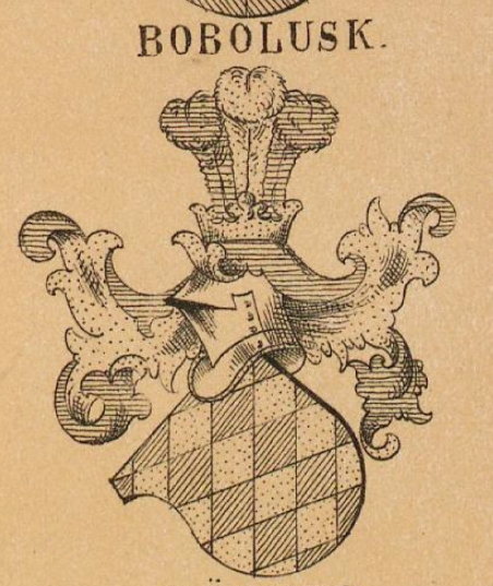 Bobolusk Coat of Arms / Family Crest 0