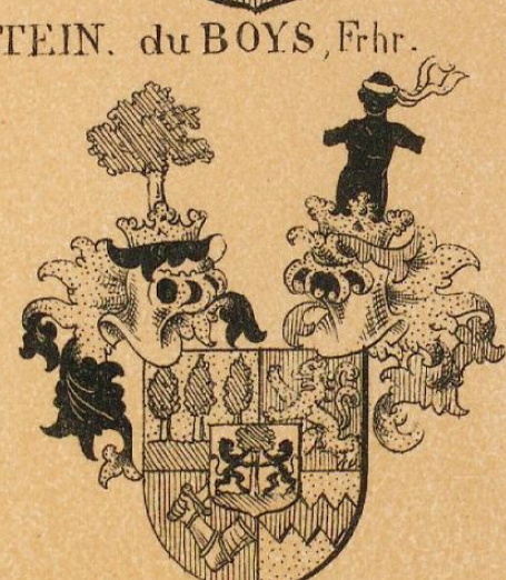 Boys Coat of Arms / Family Crest 0