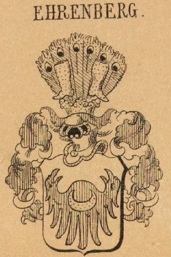 Ehrenberg Coat of Arms / Family Crest 2