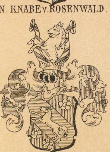 Knabe Coat of Arms / Family Crest 0