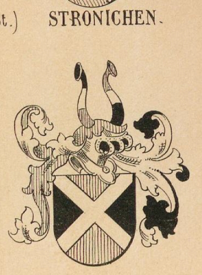Stronichen Coat of Arms / Family Crest 0