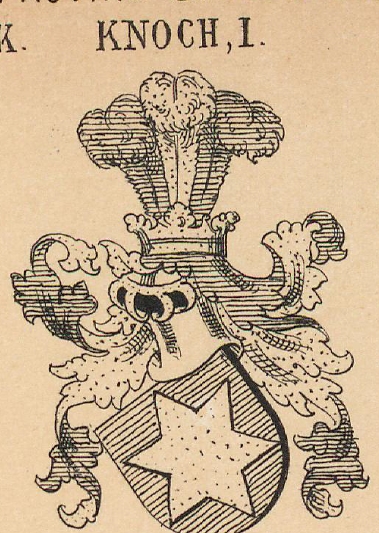 Knoch Coat of Arms / Family Crest 1